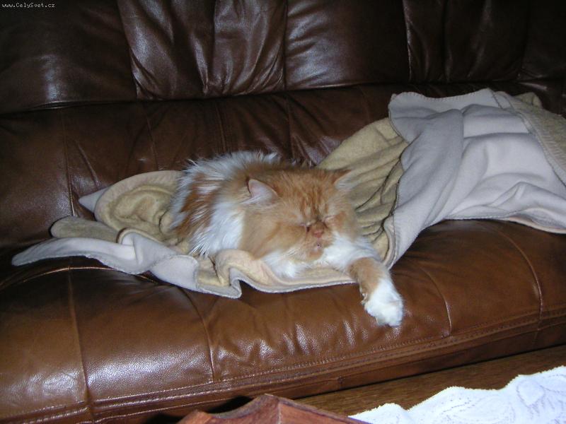 Foto: Hugo sp�c�-Obl�ben� pohovka