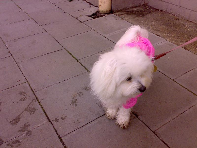 Foto: Sindynka-po de�ti