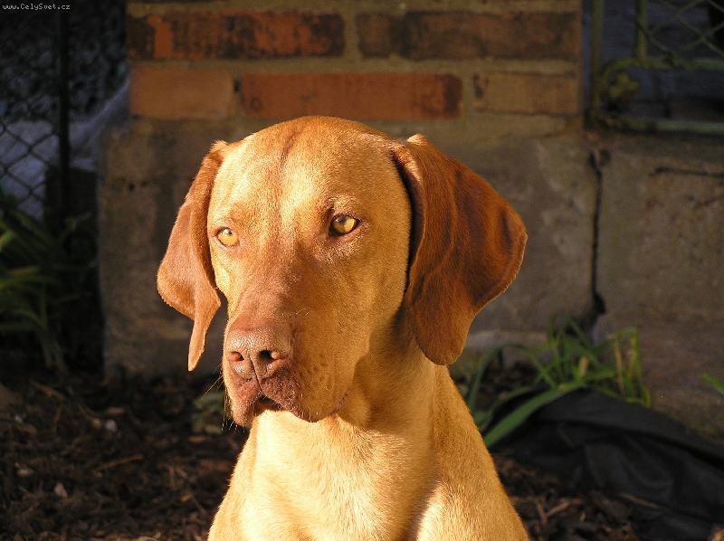 Foto: Ibar od Mochovsk� v�moly