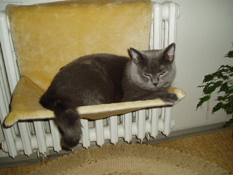 Foto: Collin-Pohod��