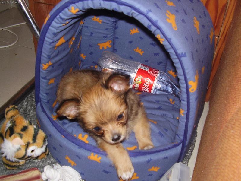 Foto: Miminko-Luck�sek