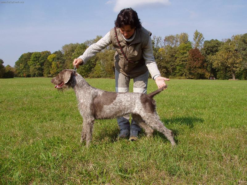 Foto: Slovensk� hrubosrst� oha�