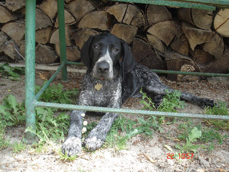 Foto: Kora-to je dneska vedro ...