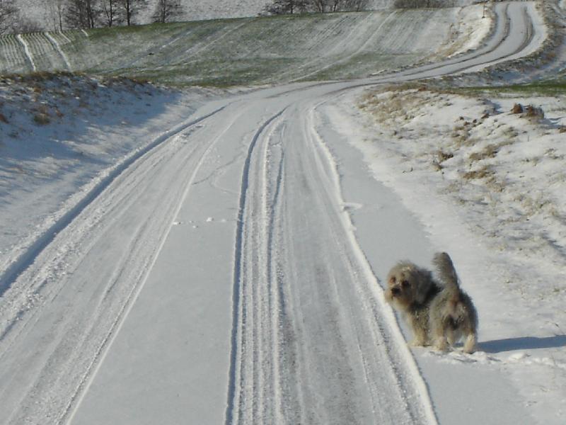 Foto: zimni prochazka