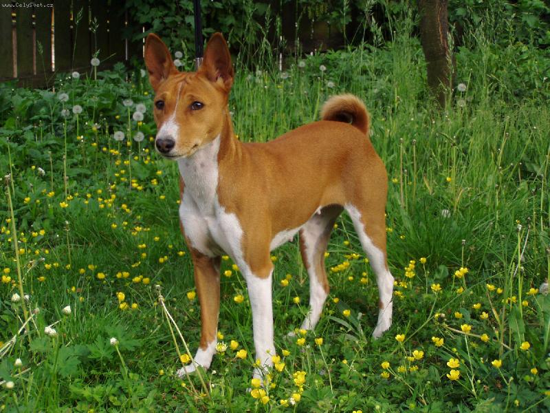 Foto: Cassis Krumlo�