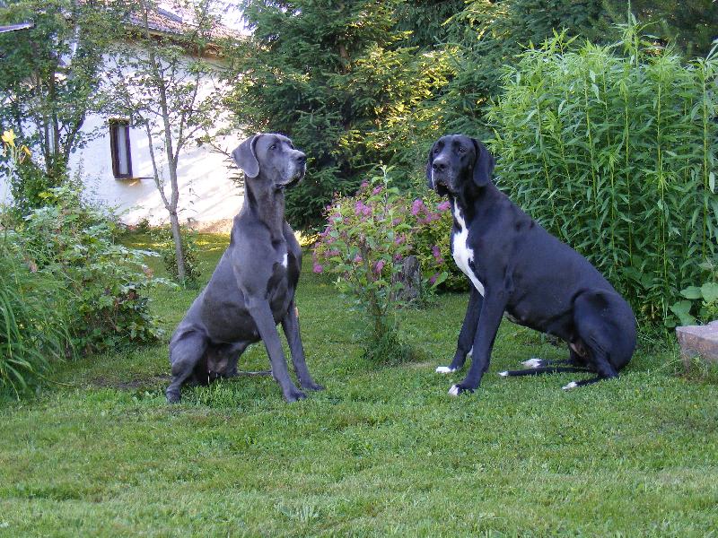 Foto: p�zov�n�