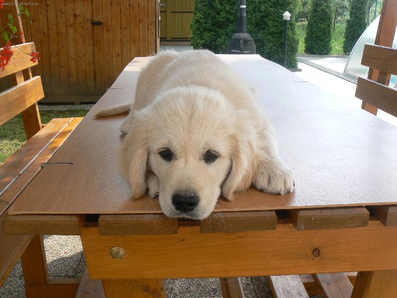 Foto: Jonasek se diva:-)