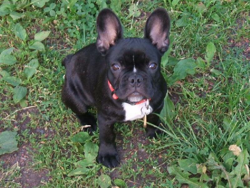 Foto: Barunka - 3,5  m�s�ce