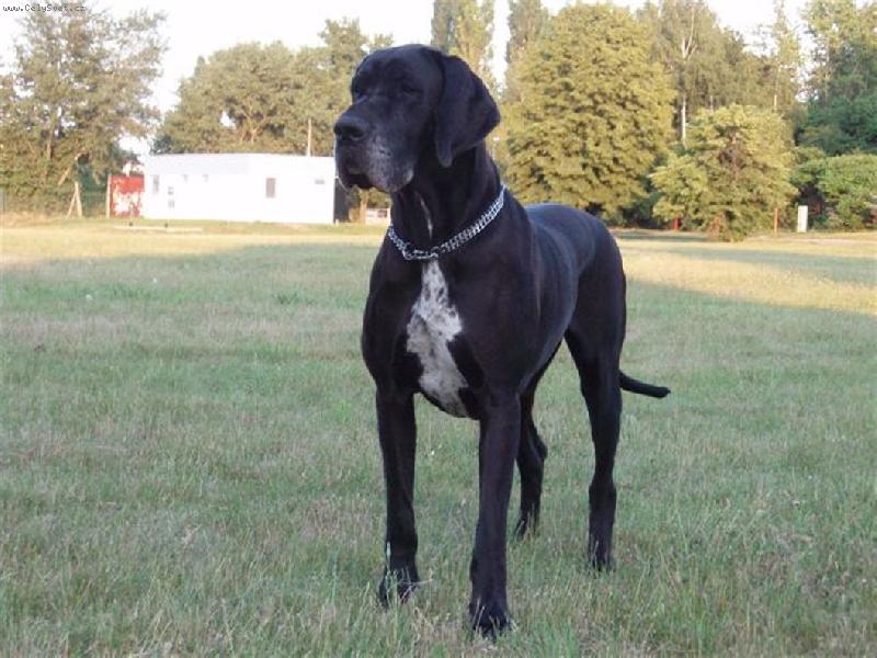 Foto: AURORA Silva Tarok-26 m�s�c�