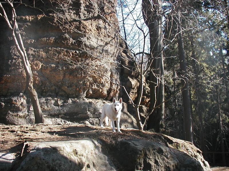 Foto: Jessynka na v�let�