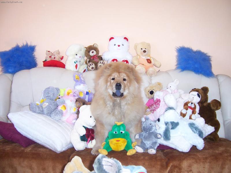 Foto: poj�te si se mnou hr�t