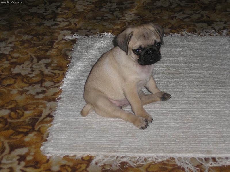 Foto: U� trochu vyrostla