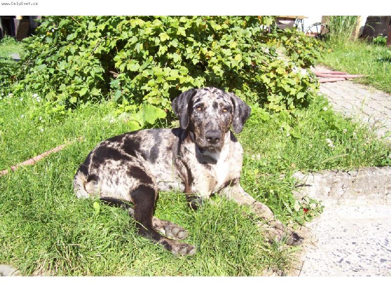 Foto: Ax Araraquara-Ax Araraquara