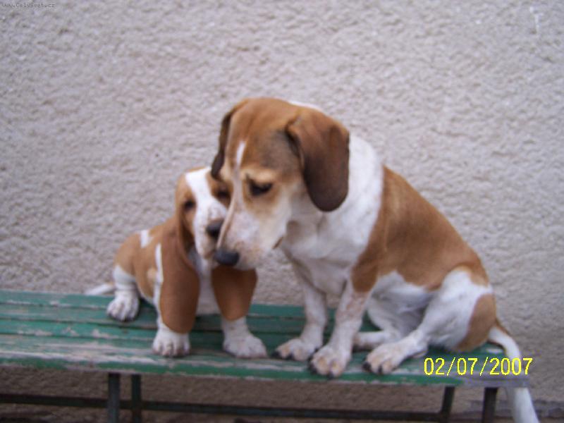 Foto: Nelinka a Daisinka