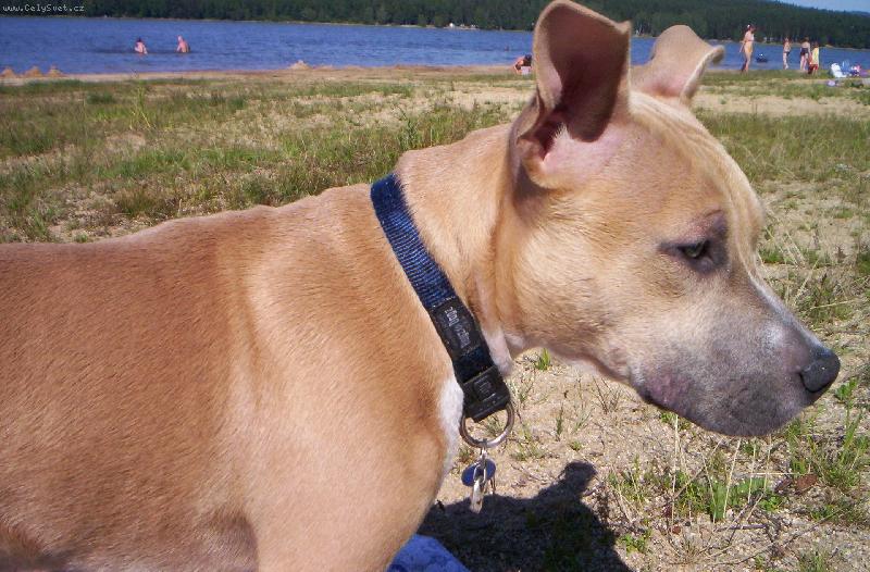 Foto: arny-to jsem j�