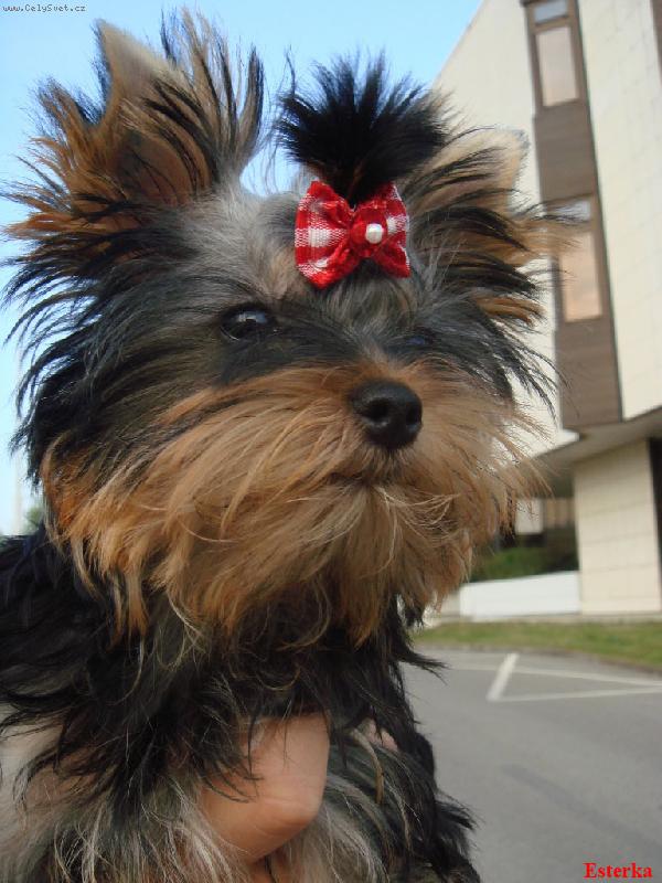 Foto: Esterka-Esterka s ma�li�kou