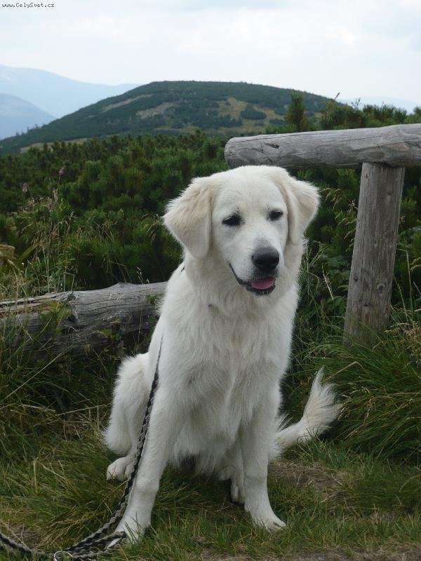 Foto: Ayrin Orlick� talisman