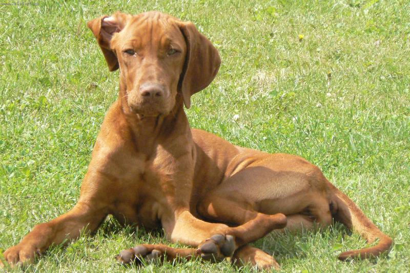 Foto: M�l� Dydynka-kuk