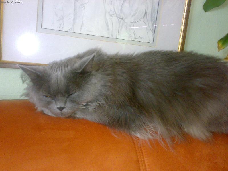 Foto: odpo��v�m...