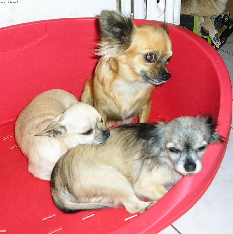 Foto: A jde se sp�t