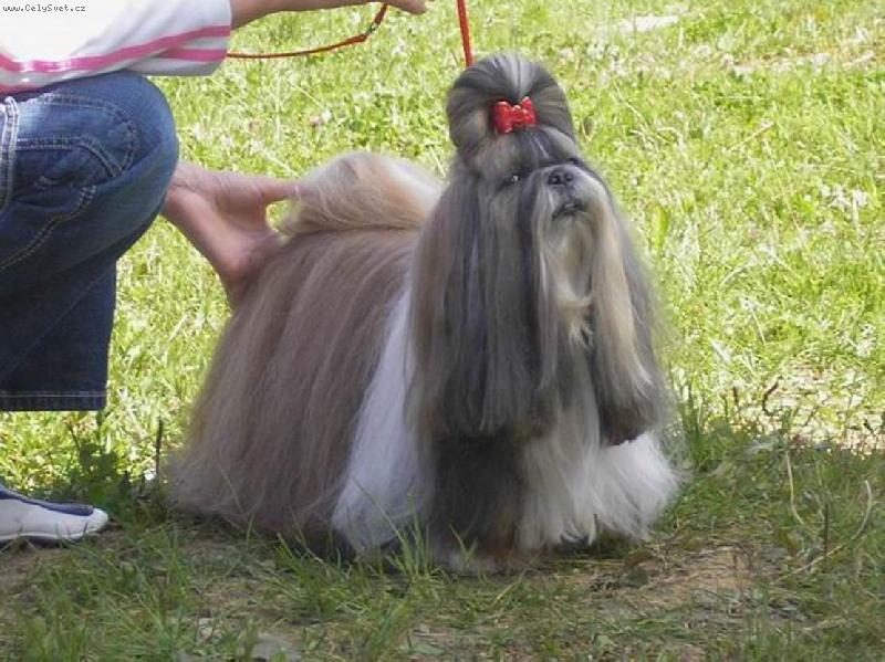 Foto: CH.Jeron Atrei