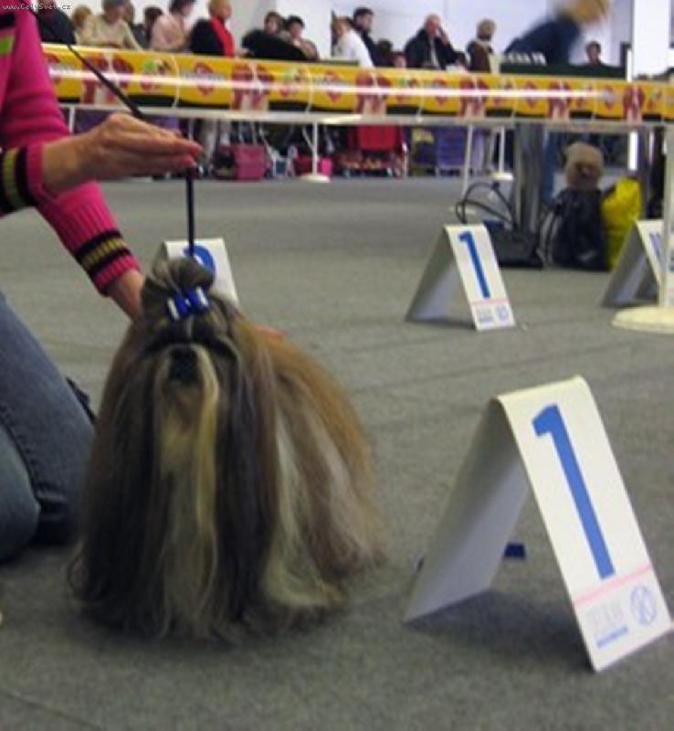 Foto: CH.Jeron Atrei