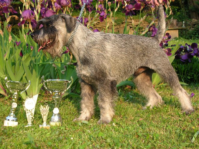 Foto: mamin�in maz�nek Bill-Bill