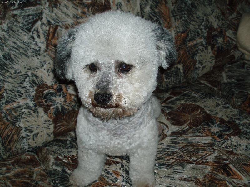 Foto: Max��ek-Moje laska..