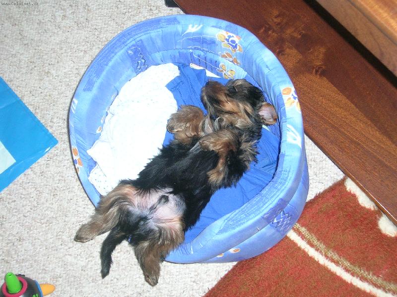 Foto: Max-To je pohodi�ka