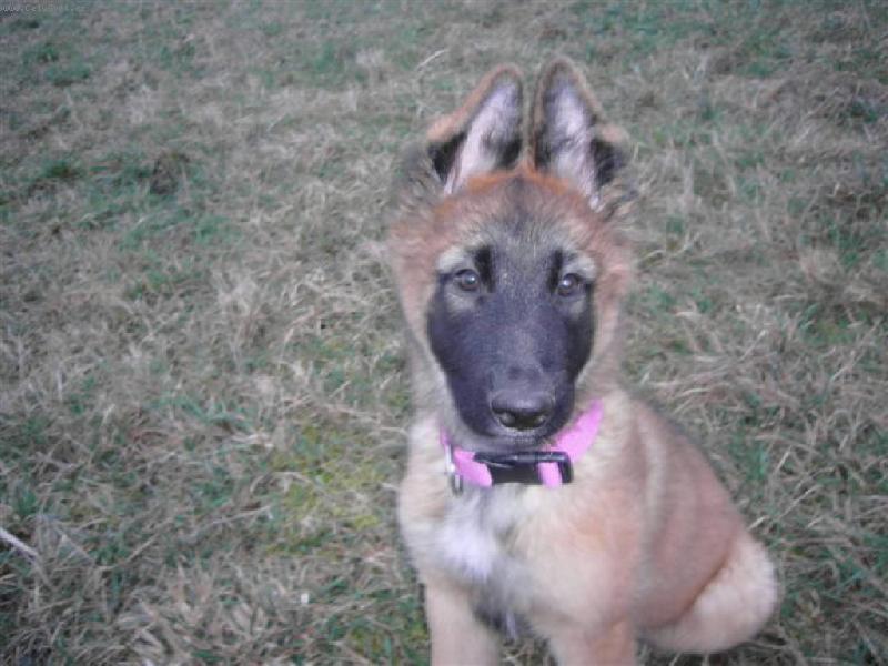 Foto: EL� 3 M�S�CE-EL� 3 M�S�CE