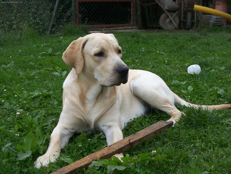 Foto: Max-9.m�s��n� Max�k