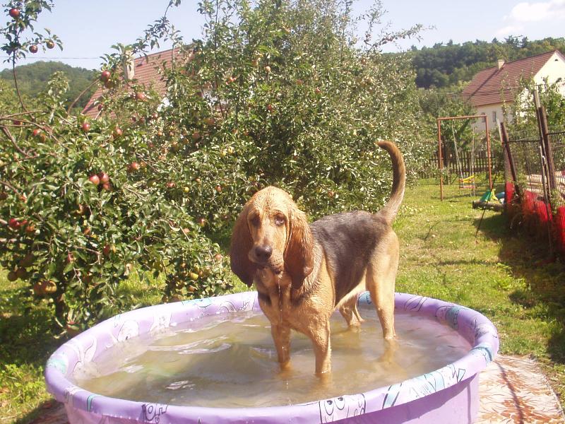 Foto: To je vedro-Blair Iseb