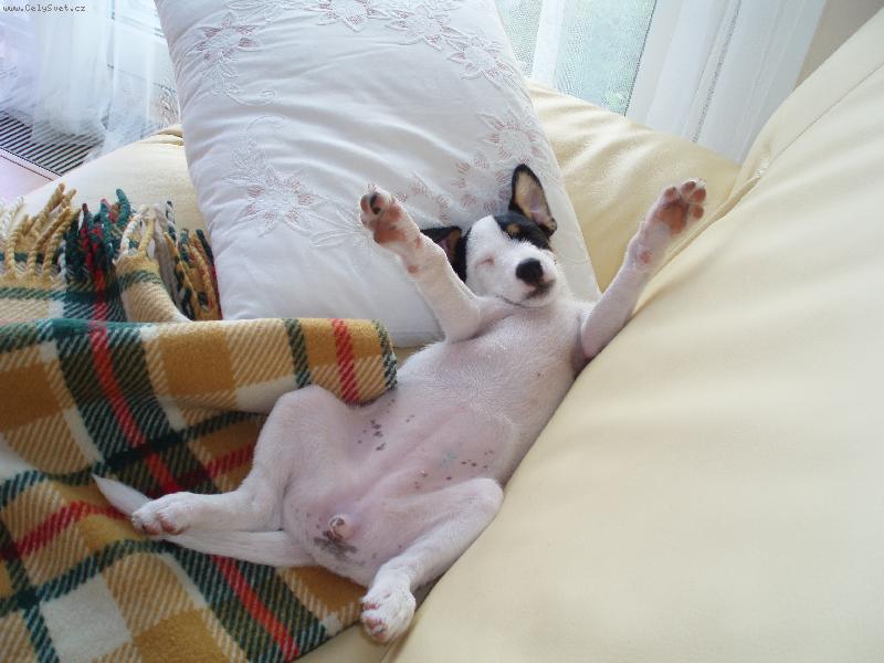 Foto: L�zinka sp�c� :)