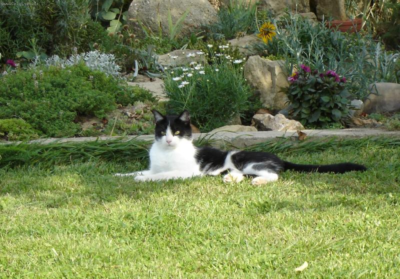 Foto: Fil�pek-m�j hl�da�