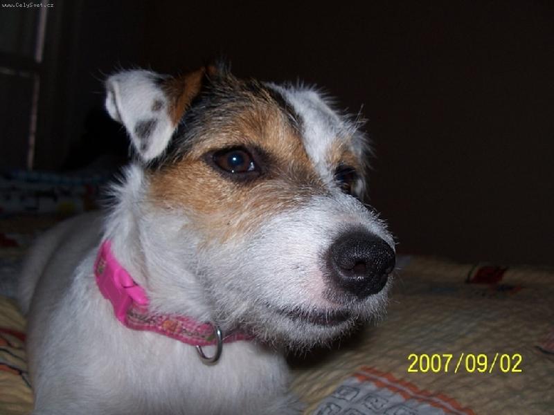 Foto: Wabira Drapichrust-Portr�t