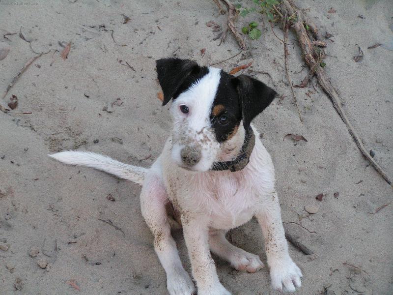 Foto: Miluju p�sek