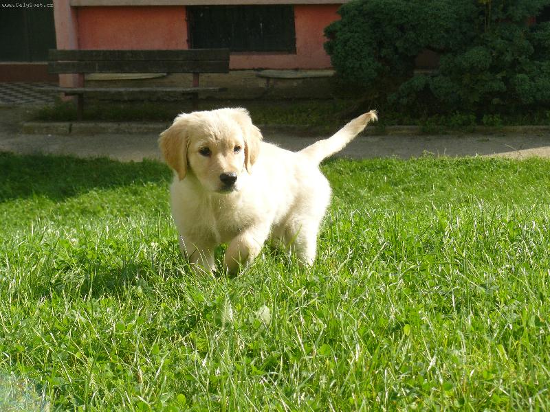 Foto: Mil��ek-Jsem na proch�zce