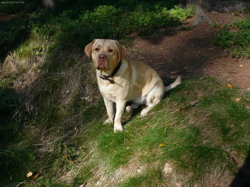 Foto: J� jsem tak ne��astnej