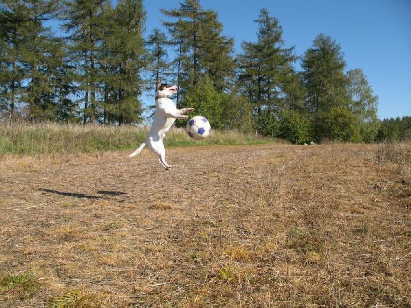 Foto: ......a je�t� jedna fotbalov� :)