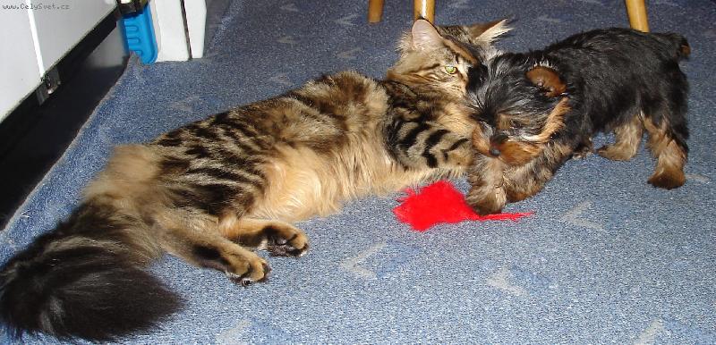 Foto: Nat�lka-M� si neuplat�, prcku