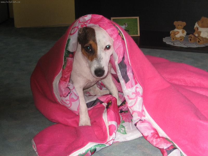 Foto: Ebby-Stra�id�lko