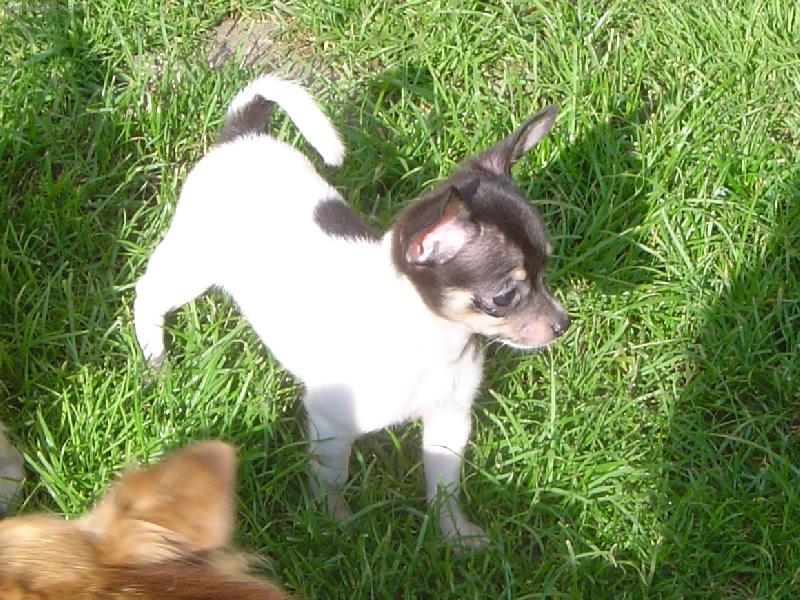 Foto: v�stavn� postoj-v�stavn� postoj