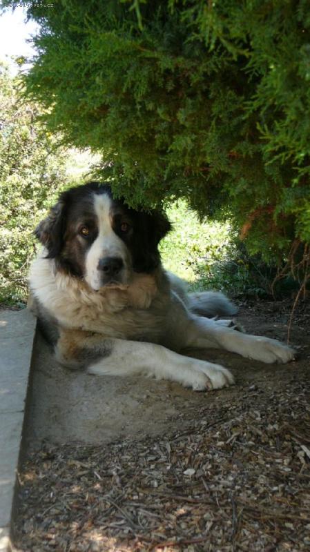 Foto: B�ra - v�ce na www.uandyho.blog.cz-Bar�a - srpen 2007