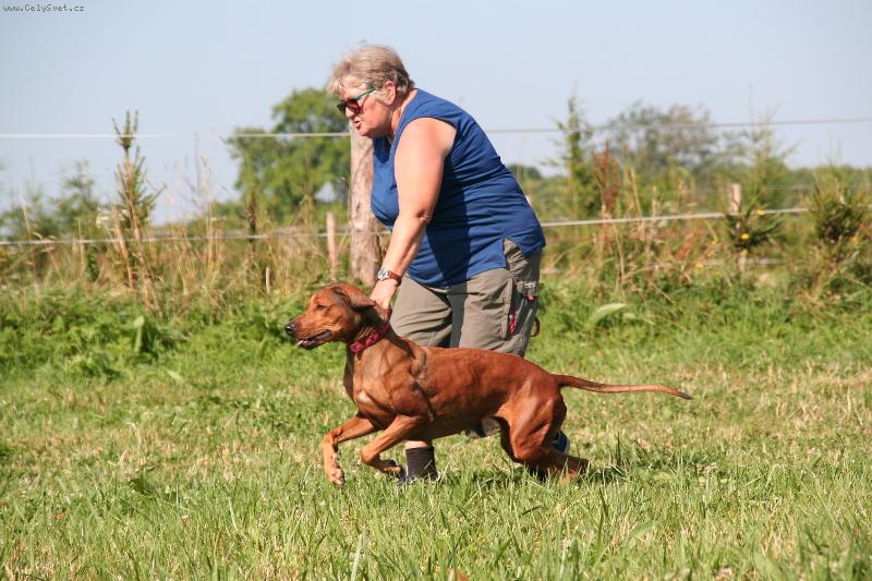 Foto: coursing-na startu