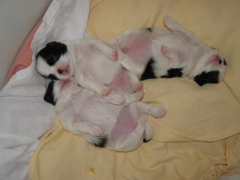 Foto: Po ml��n�m mejdanu.