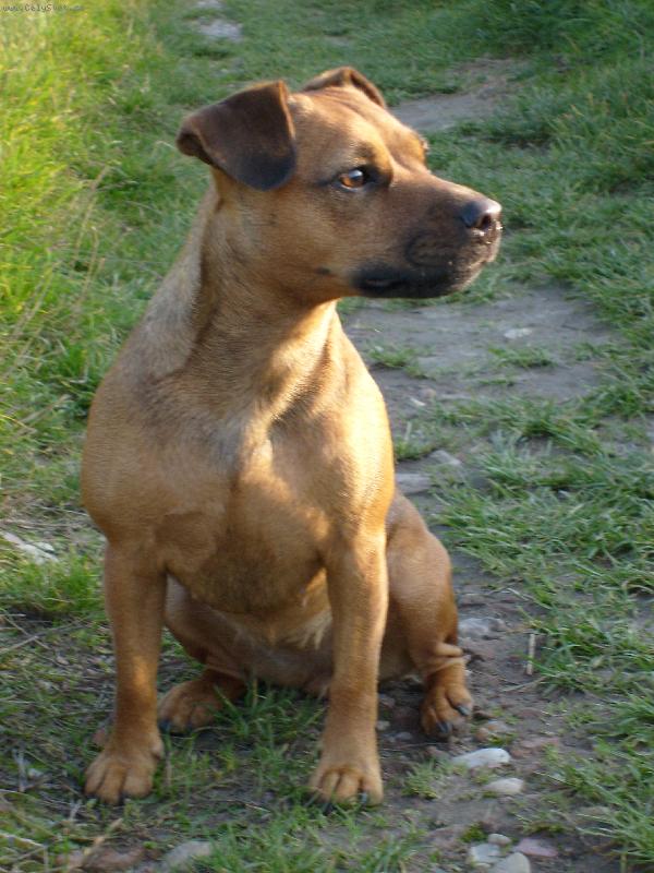 Foto: U� mi byl rok Bria