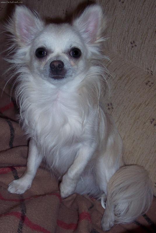 Foto: JCh. Corin z Valiandu