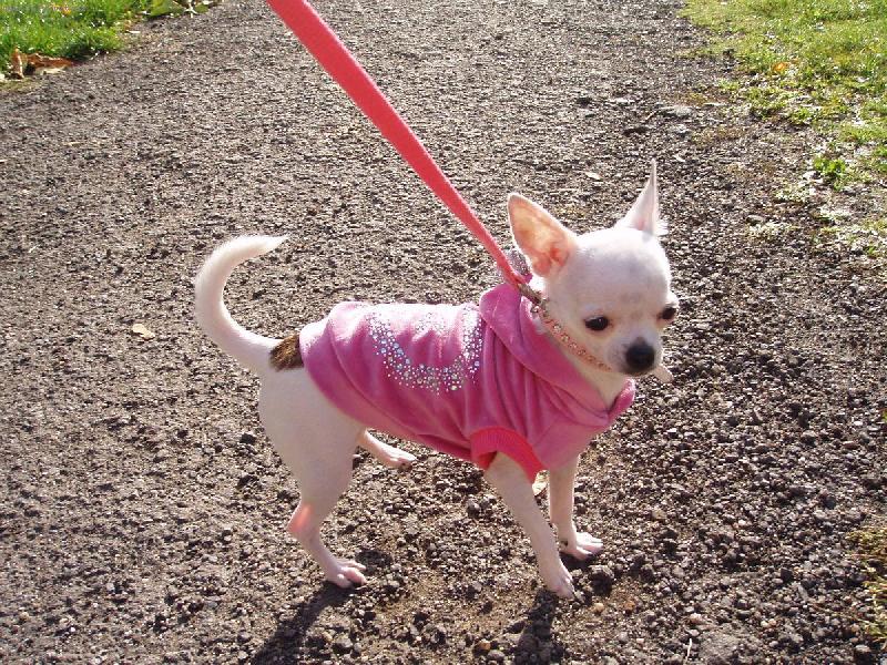 Foto: Jassinka venku