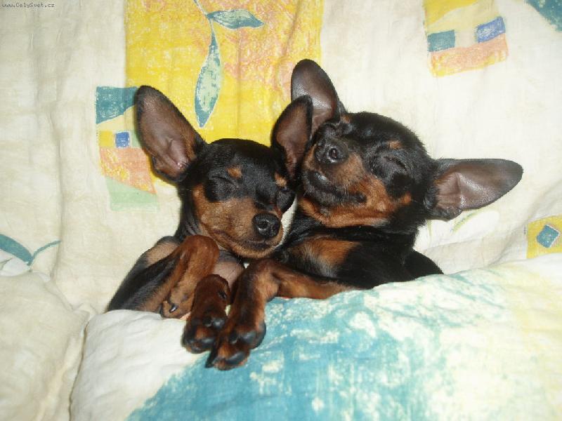 Foto: nejobl�ben�j�� m�sto