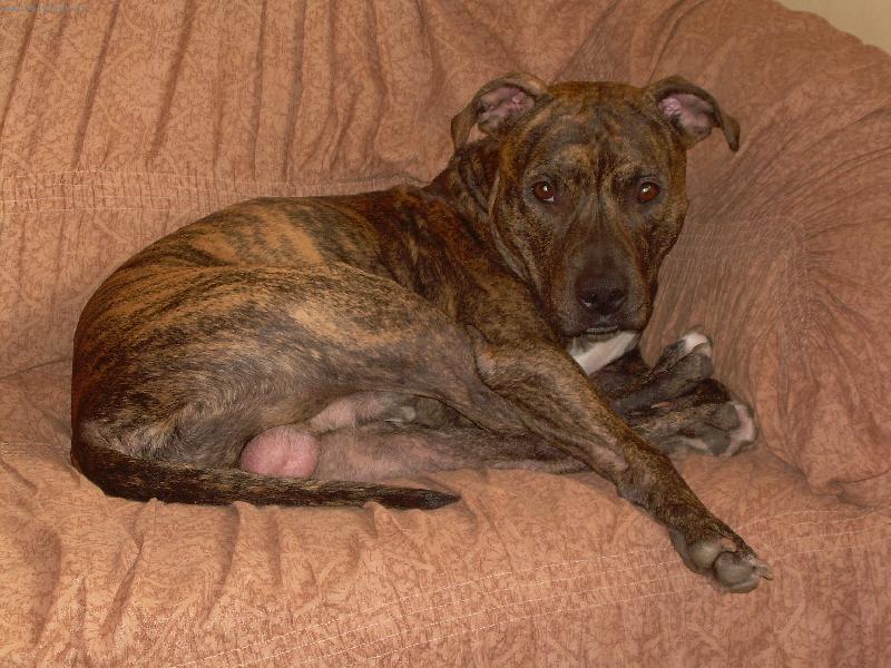 Foto: spink�me-Gasperoti